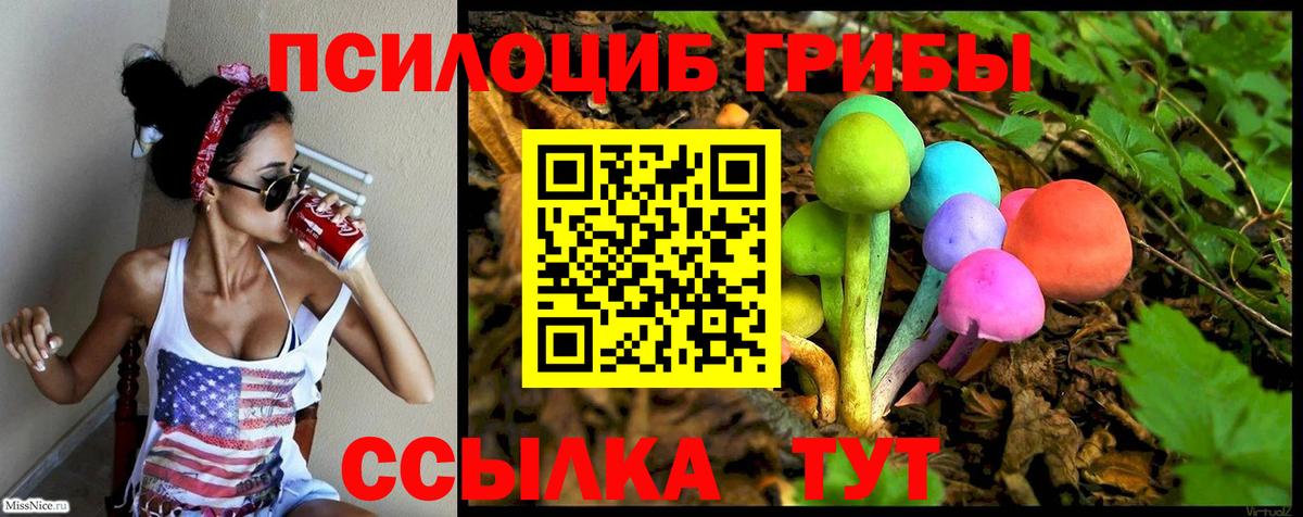 где купить наркоту  Вход с VPN  Бугульма  Псилоцибиновые грибы прущие грибы 
